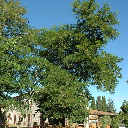 Le Piane Del Milia Alojamento de Turismo Rural Suvereto